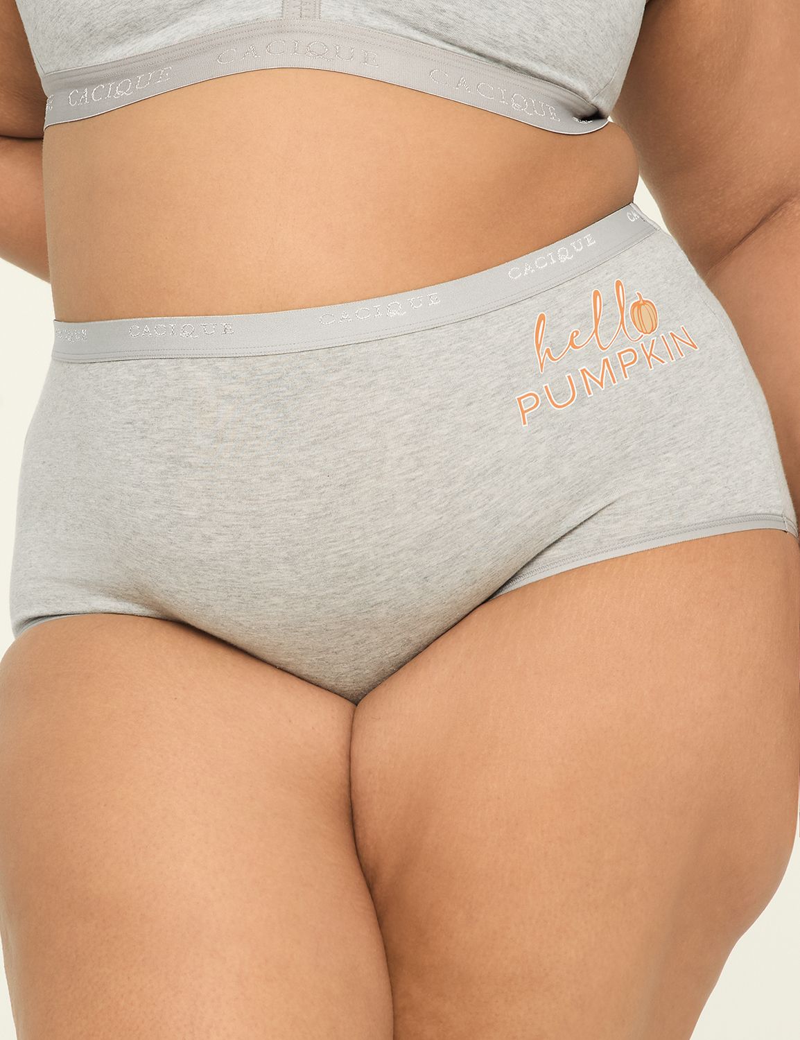 Cotton Full Brief Panty