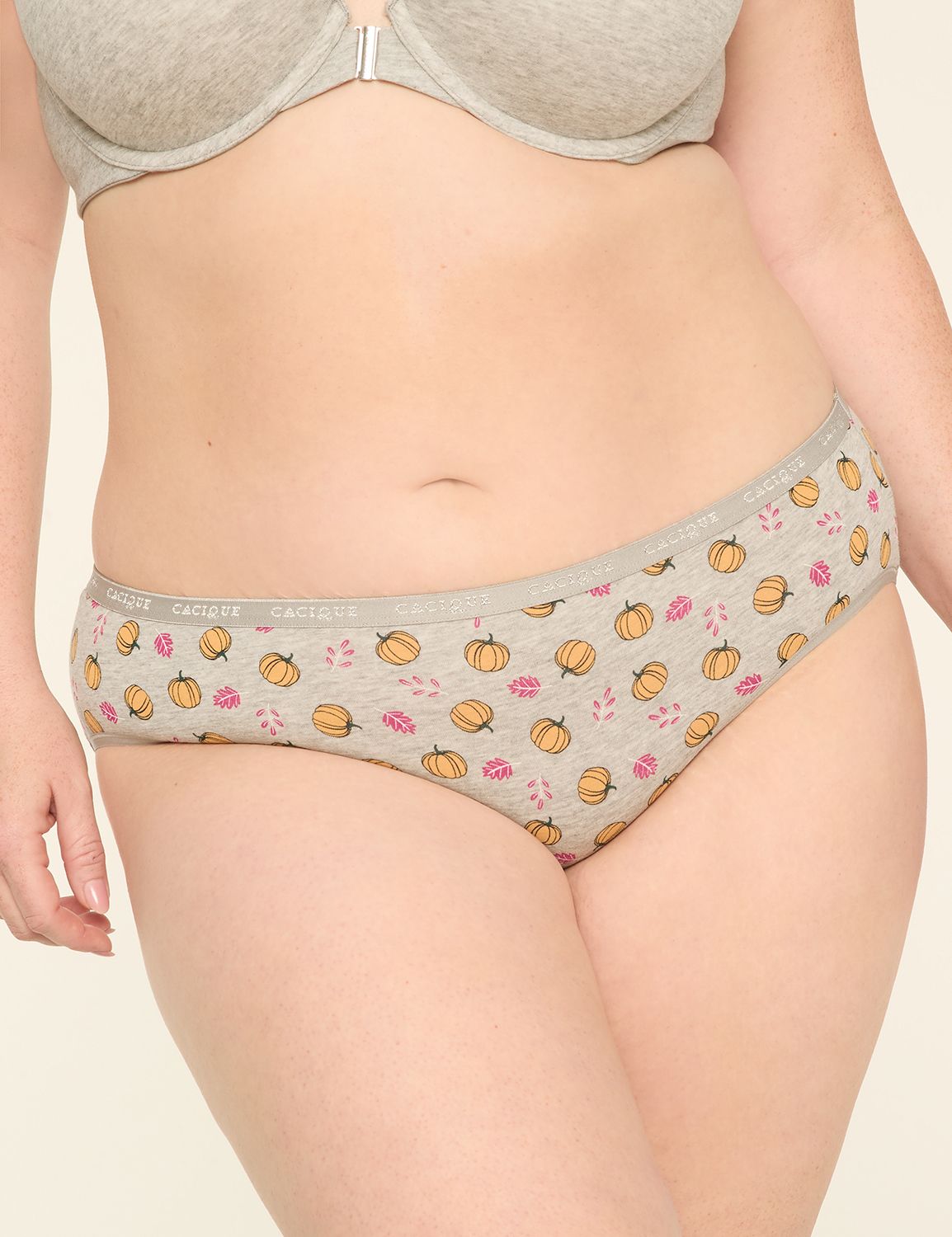 Cotton Hipster Panty