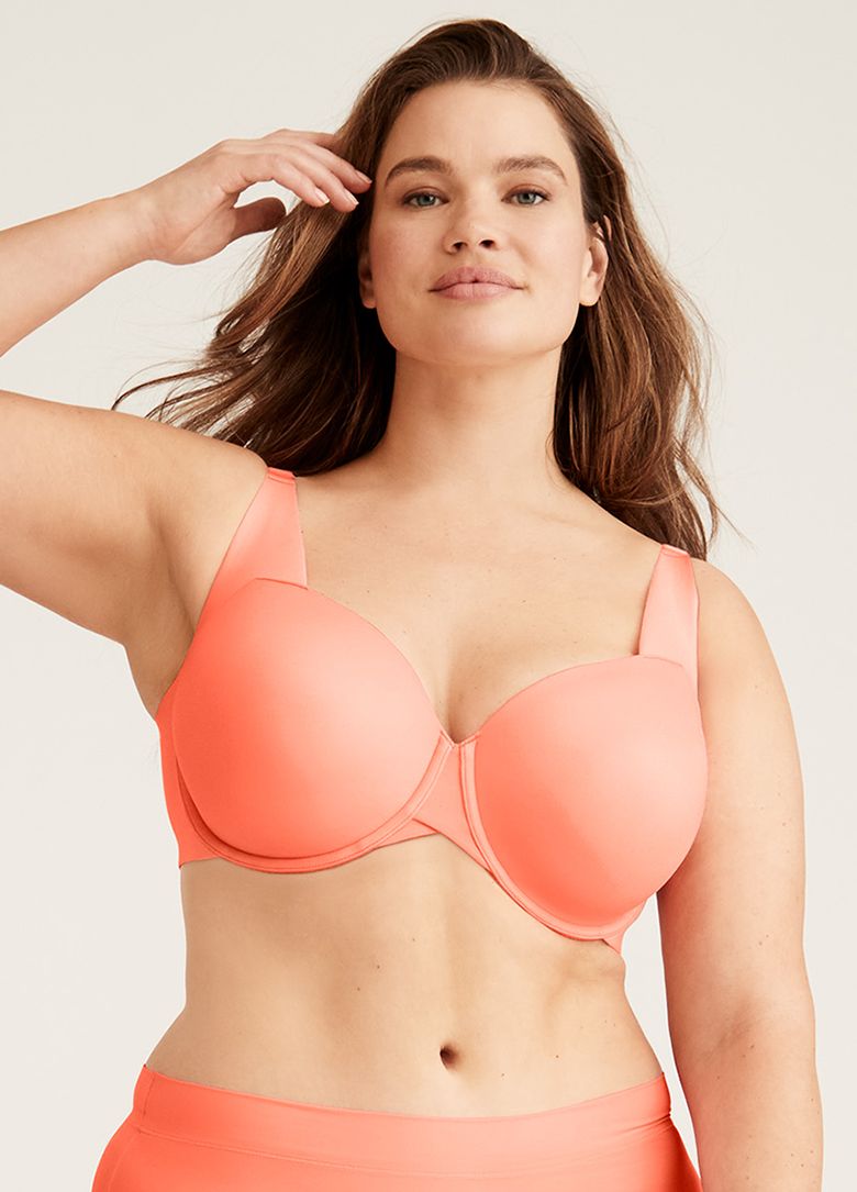 Lane bryant 2025 official website