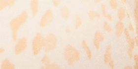 Invisible Backsmoother Lightly Lined Balconette Bra
