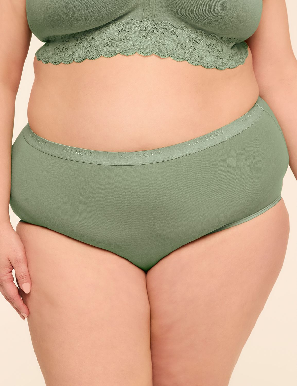Cotton Full Brief Panty