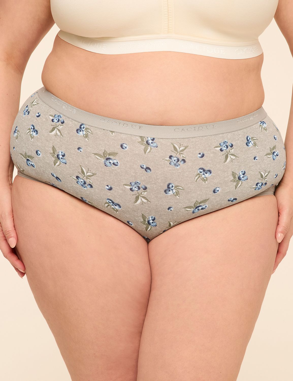 Cotton Full Brief Panty