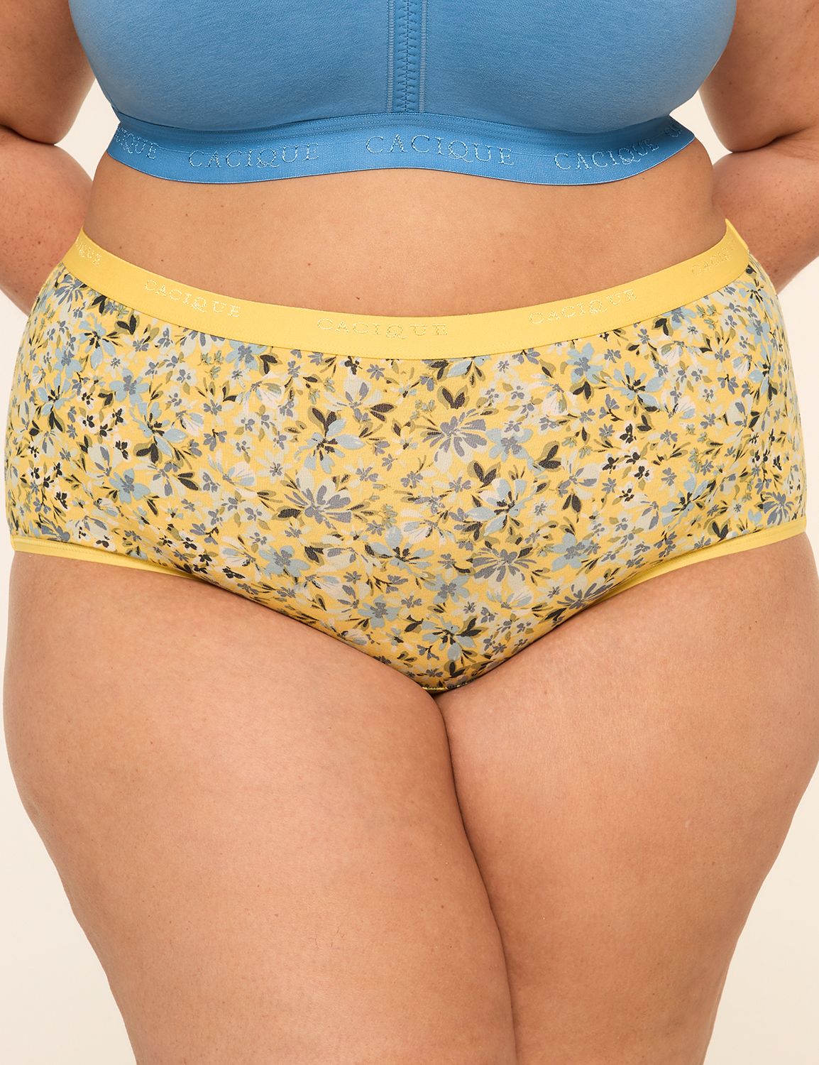 Cotton Full Brief Panty