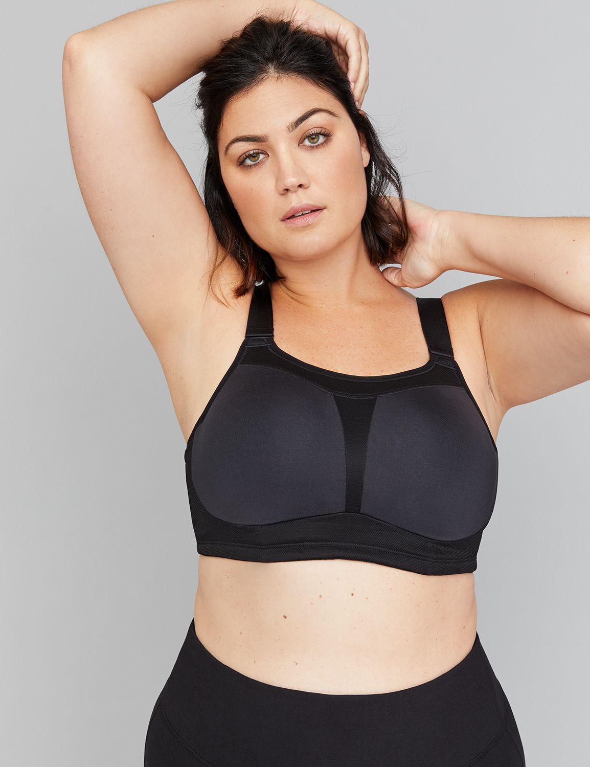 lane bryant sports bra