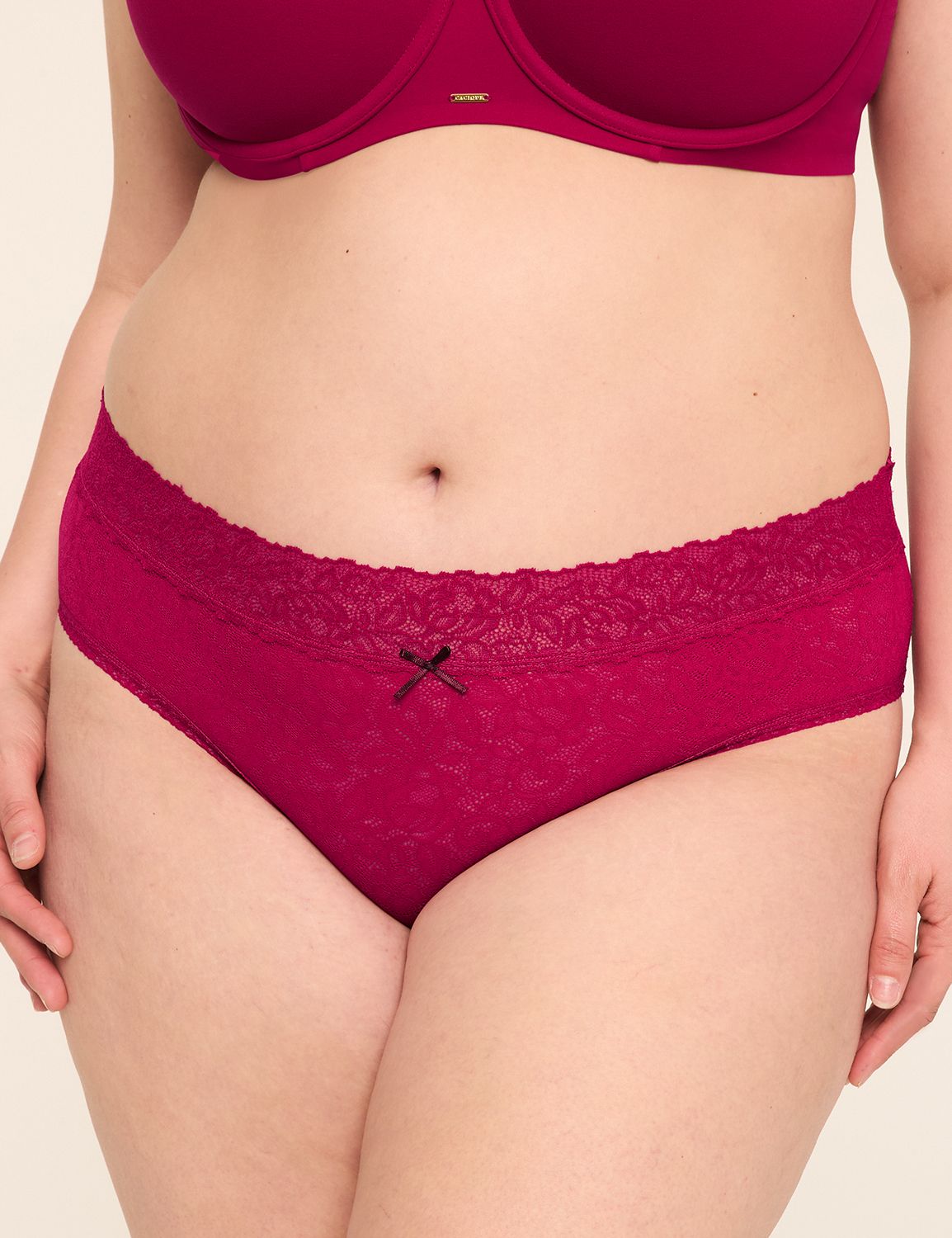 Stretch Lace Hipster Panty