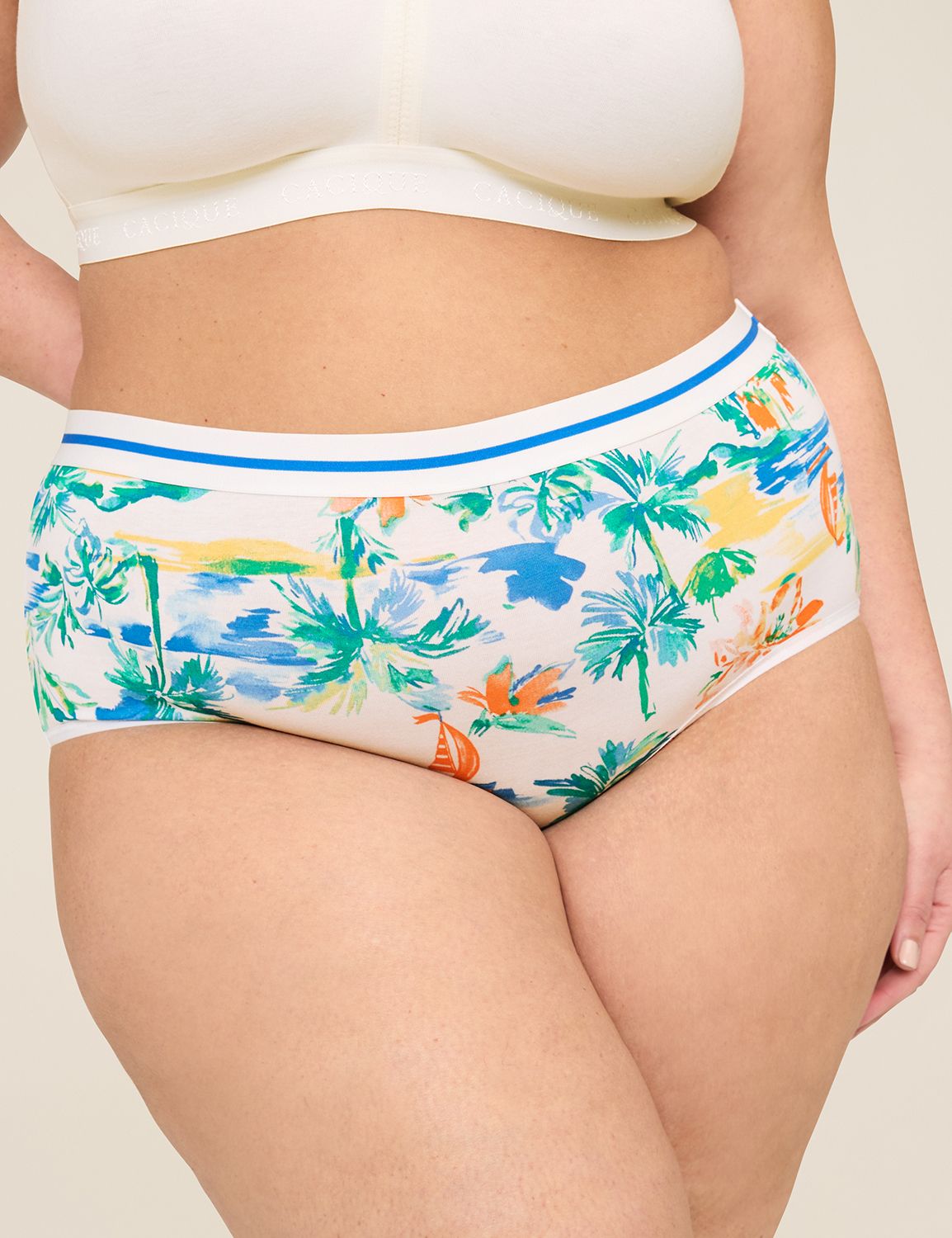 Cotton Full Brief Panty With Wide Waistband