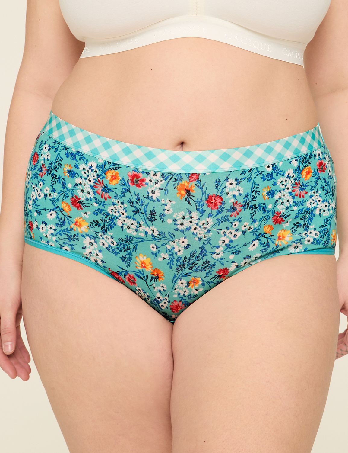 Cotton Full Brief Printed Rainbow S Product Image 1
