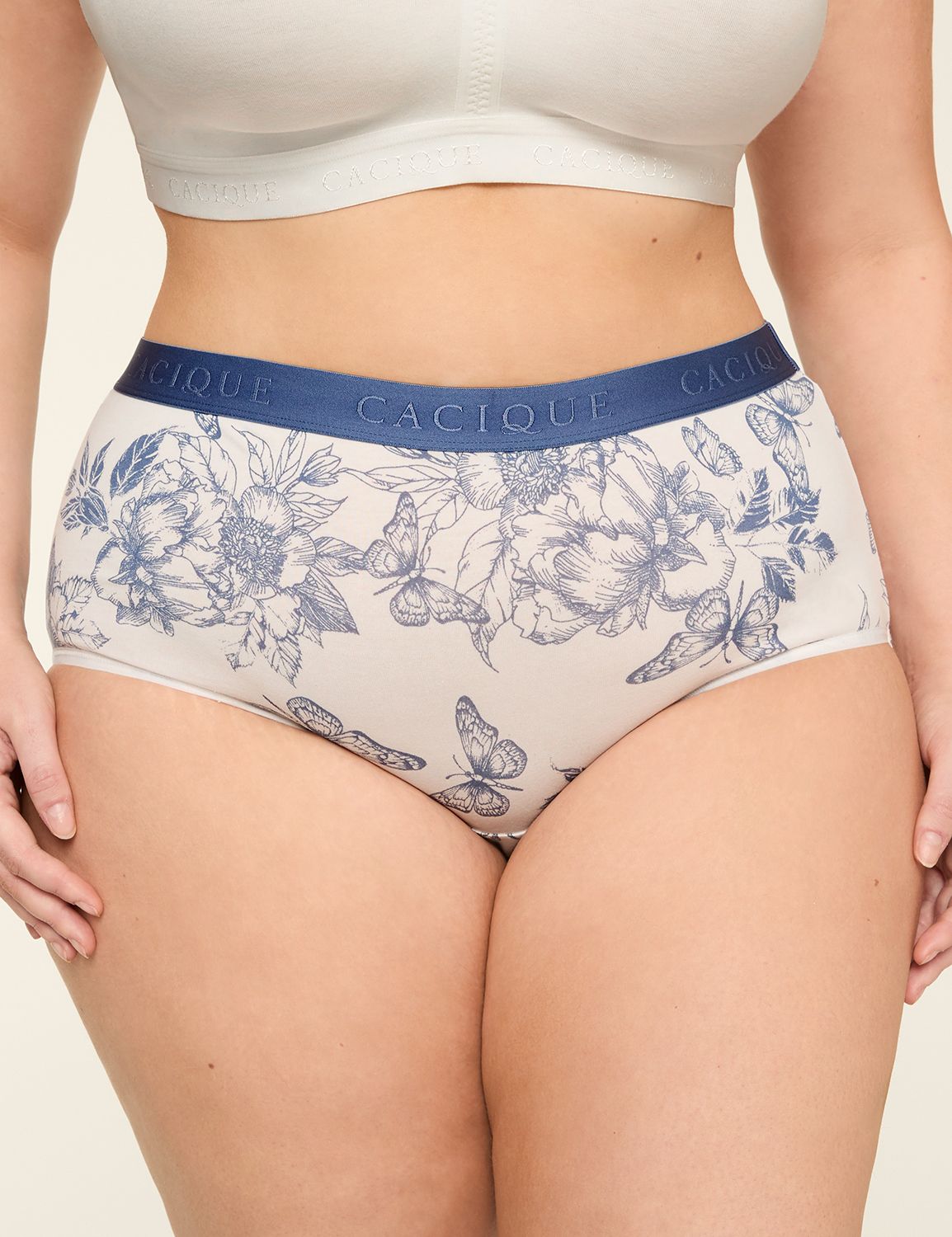 Cotton Full Brief Panty With Wide Waistband