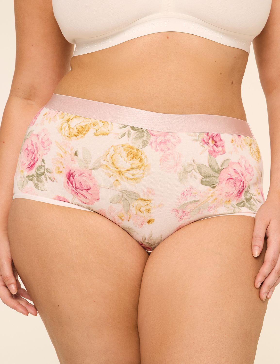 Cotton Full Brief Panty With Wide Waistband
