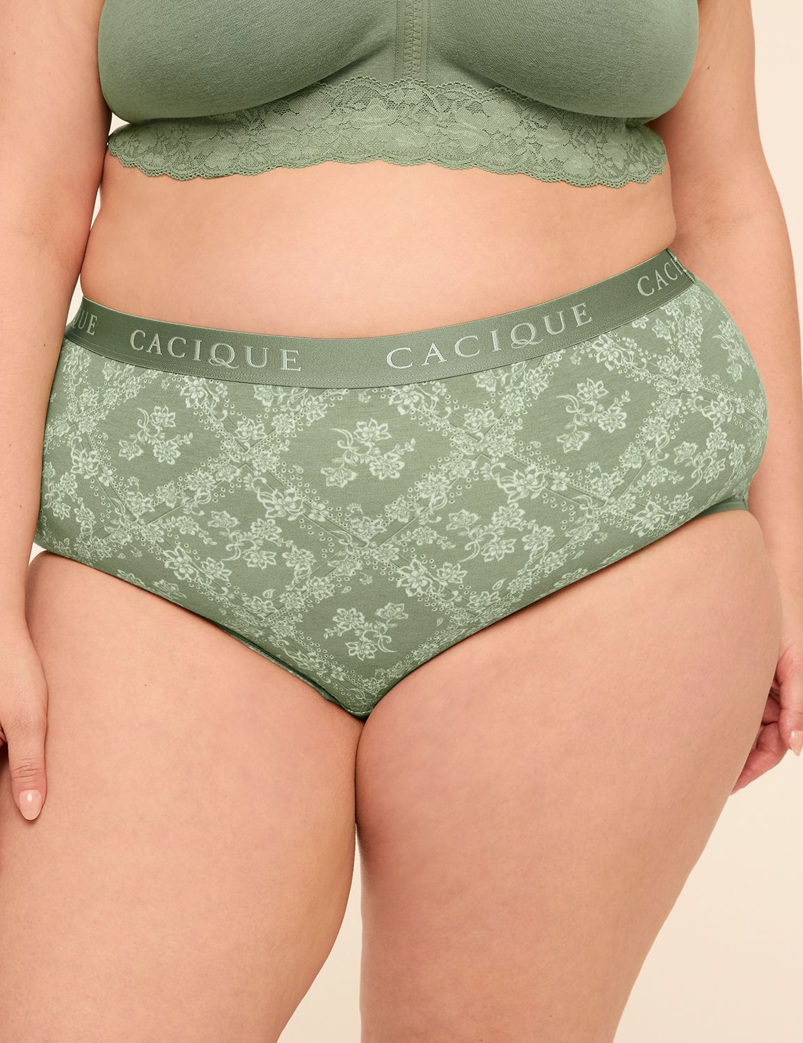 Cotton Full Brief Panty With Wide Waistband