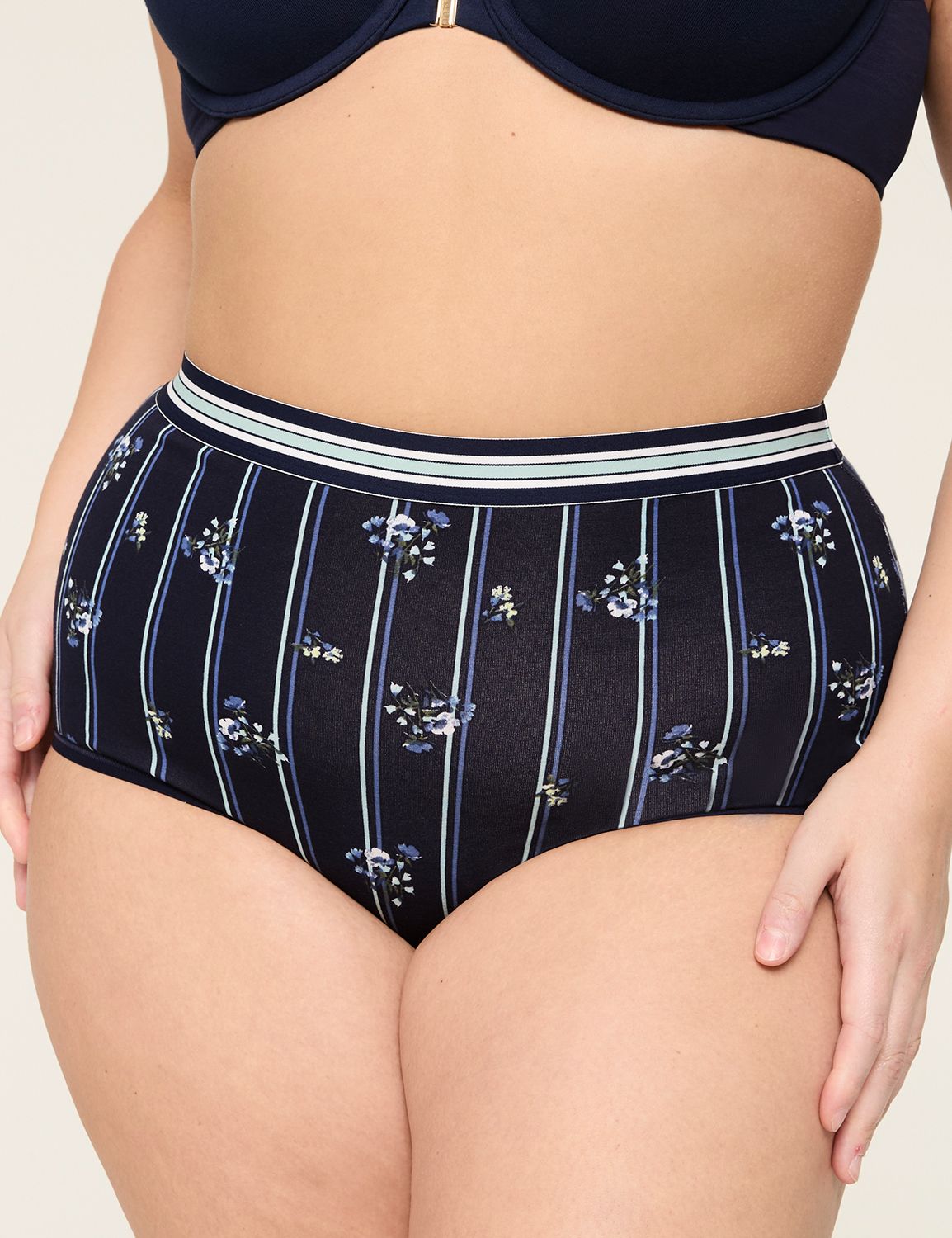 HIGH WAISTED BRIEF PAINTED LAND