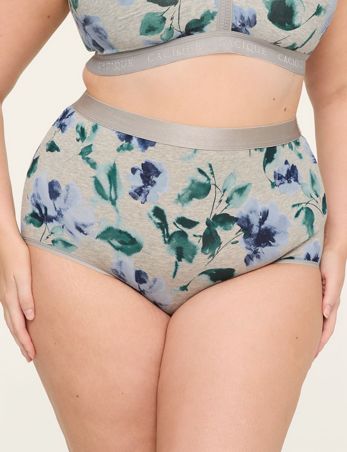 Cotton High-Waist Brief Panty With Wide Waistband
