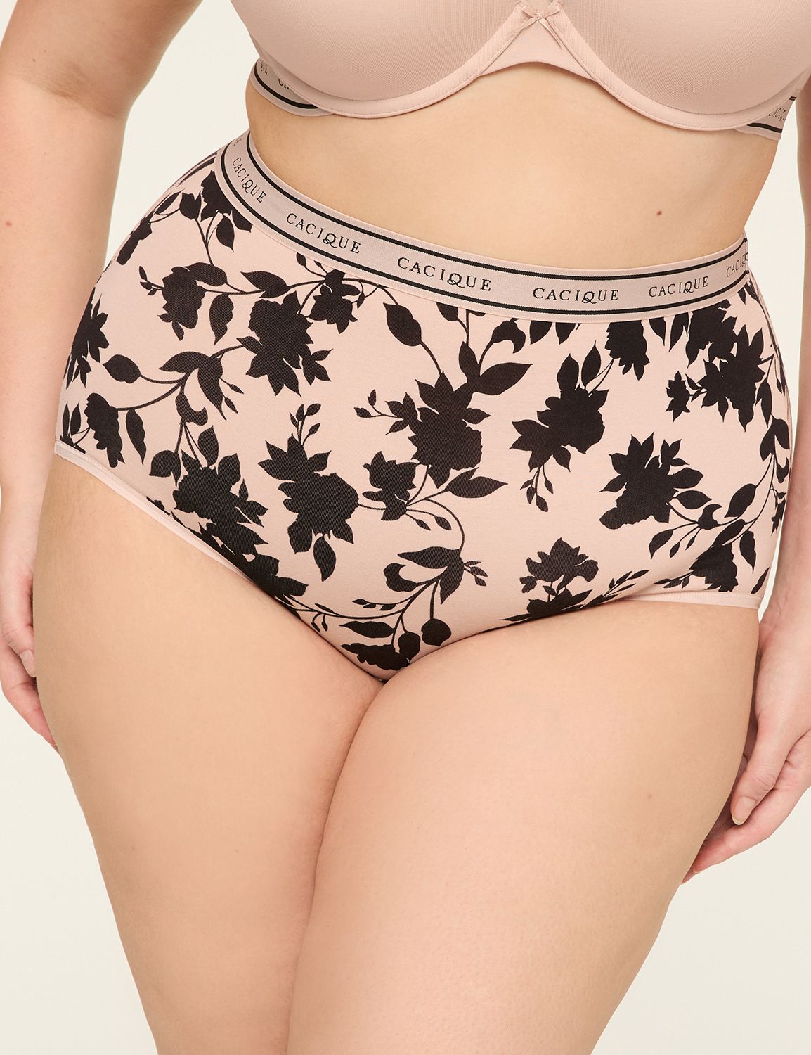 Cotton High-Waist Brief Panty With Wide Waistband