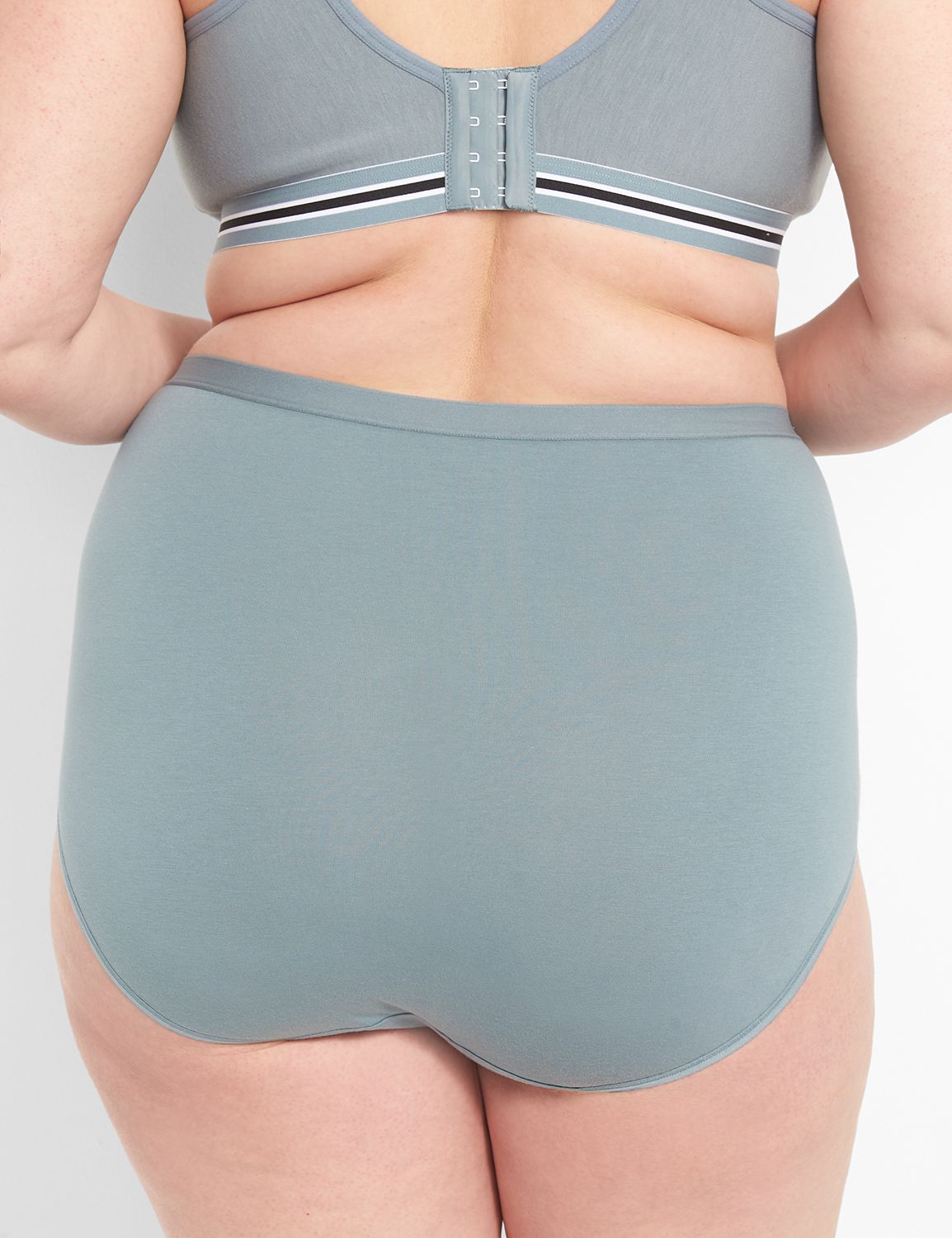 Cotton High Waist Brief Stretch Lac Product Image 2