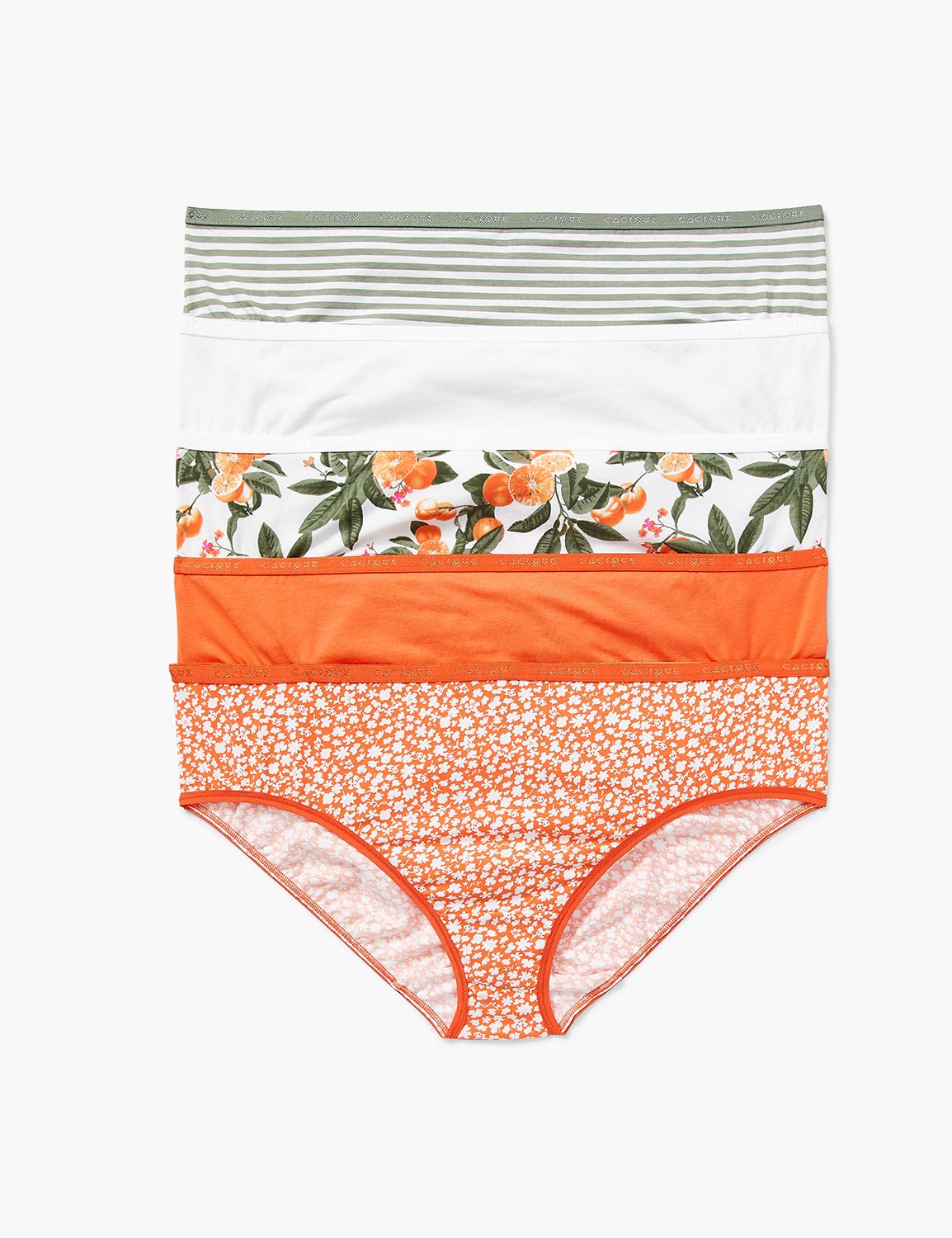 PANTY PACK Cotton Hipsters Tailored LaneBryant