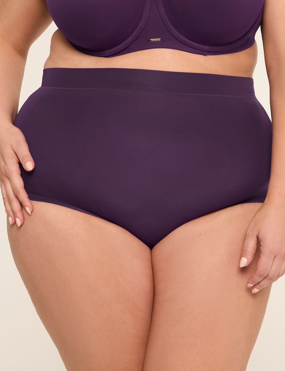 Comfort Bliss High Waist Brief Pant Product Image 1