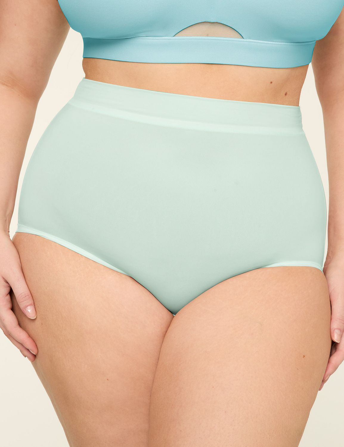 Comfort Bliss High Waist Brief Pant Product Image 1