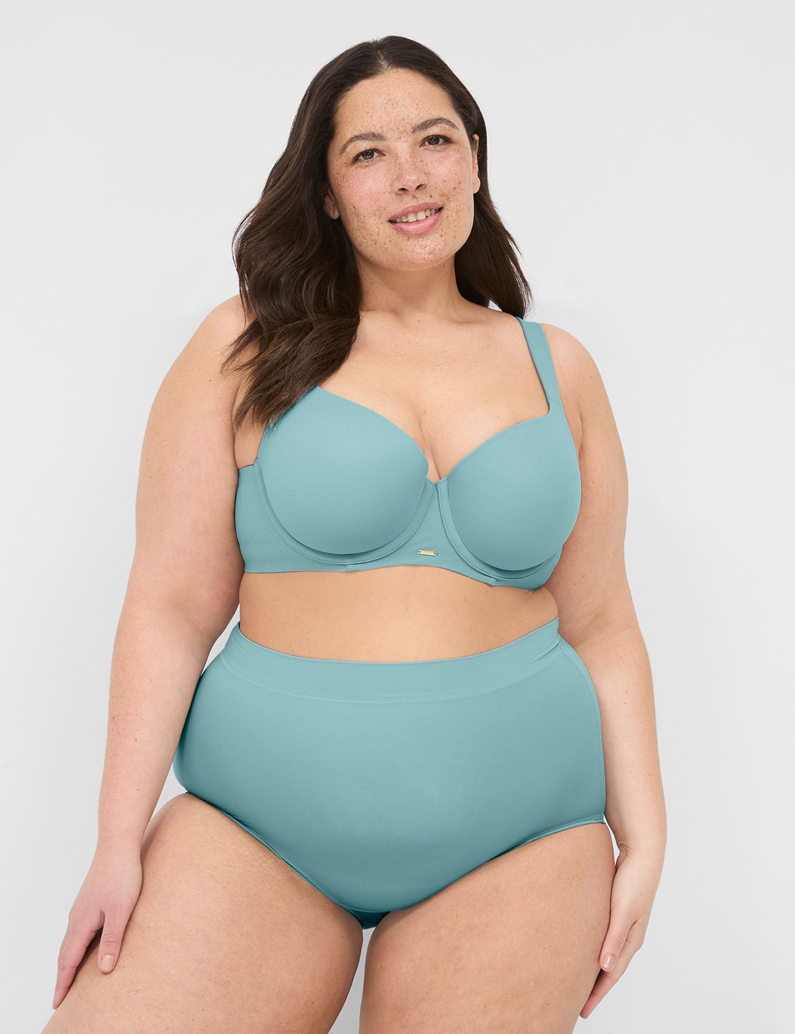 Comfort Bliss High Waist Brief Pant Product Image 1