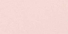 Comfort Bliss&reg; High-Waist Brief Panty