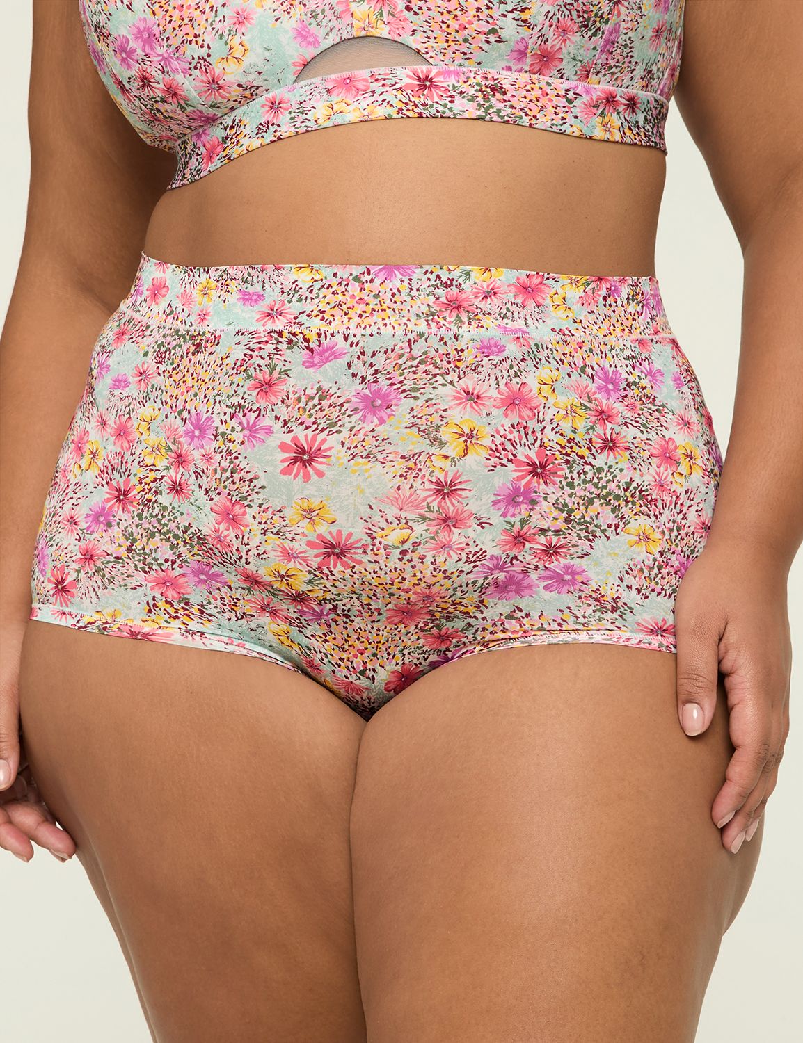 Comfort Bliss High Waist Brief Pant Product Image 1