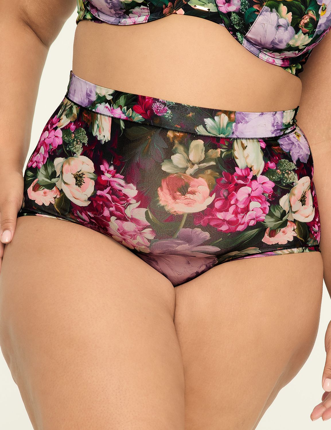 Comfort Bliss High Waist Brief Pant Product Image 1