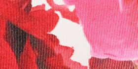 Comfort Bliss&reg; Hipster Panty