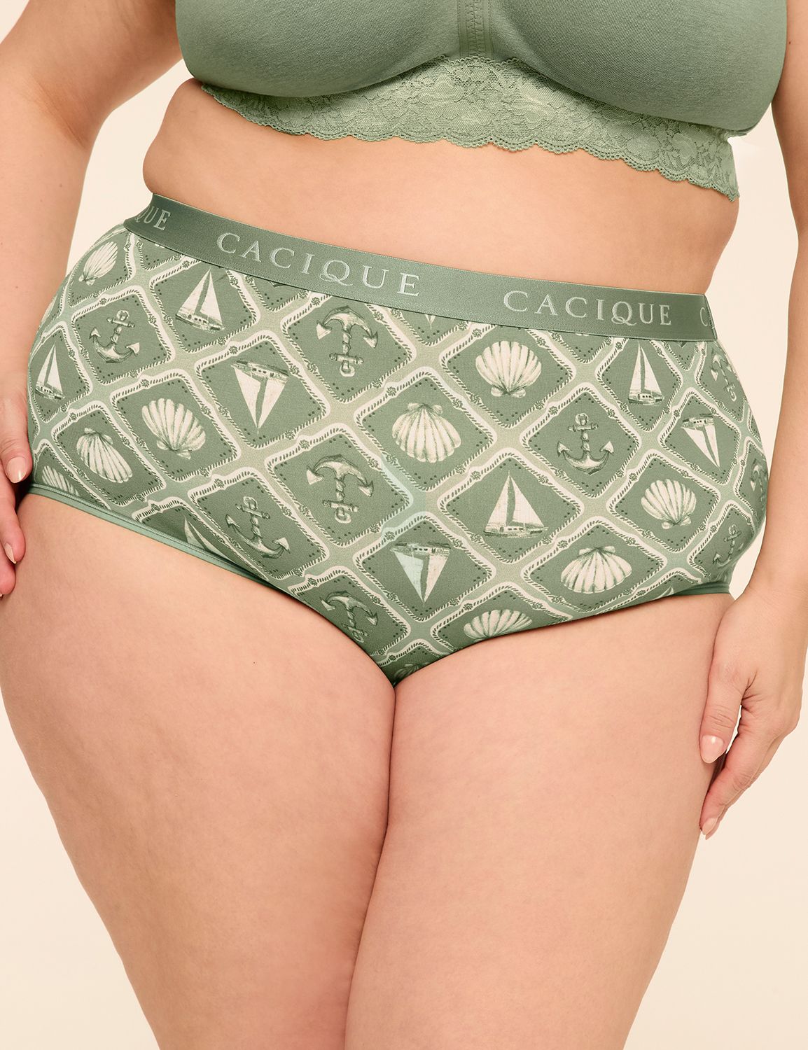 Cotton High-Waist Brief Panty With Wide Waistband