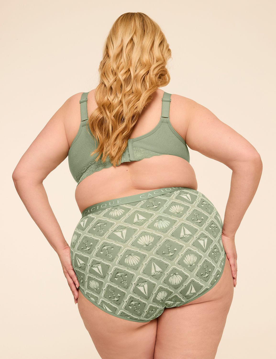 Cotton High-Waist Brief Panty With Wide Waistband