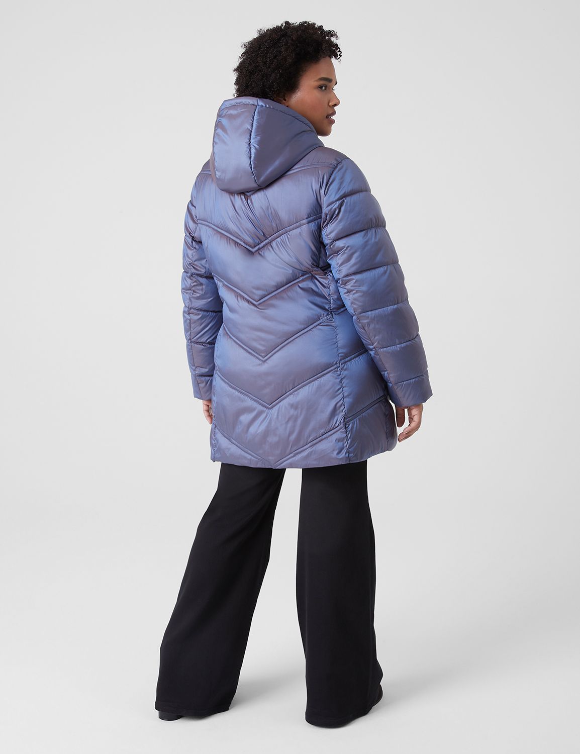 Winter coats clearance at lane bryant