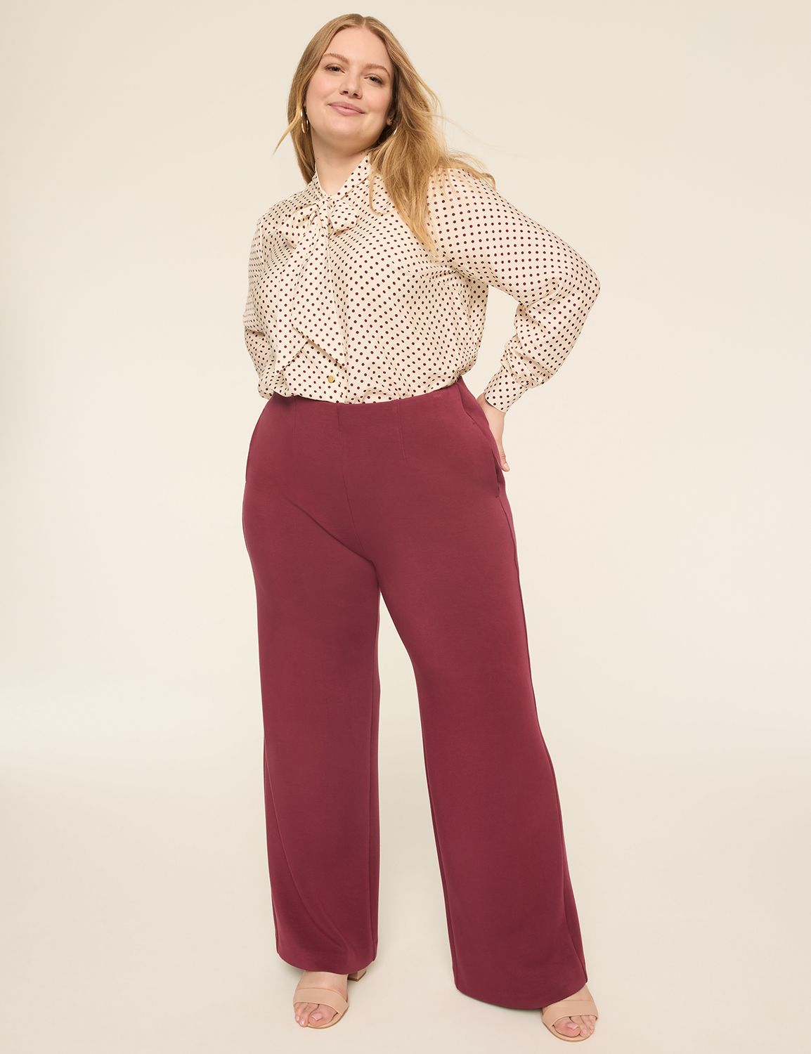 The Journey High Rise Wideleg [Fall Product Image 3