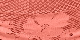 Fishnet Lace Thong