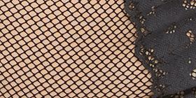Fishnet & Lace Cheeky Brief Panty