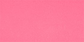 Comfort Bliss&reg; French Cut Brief Panty