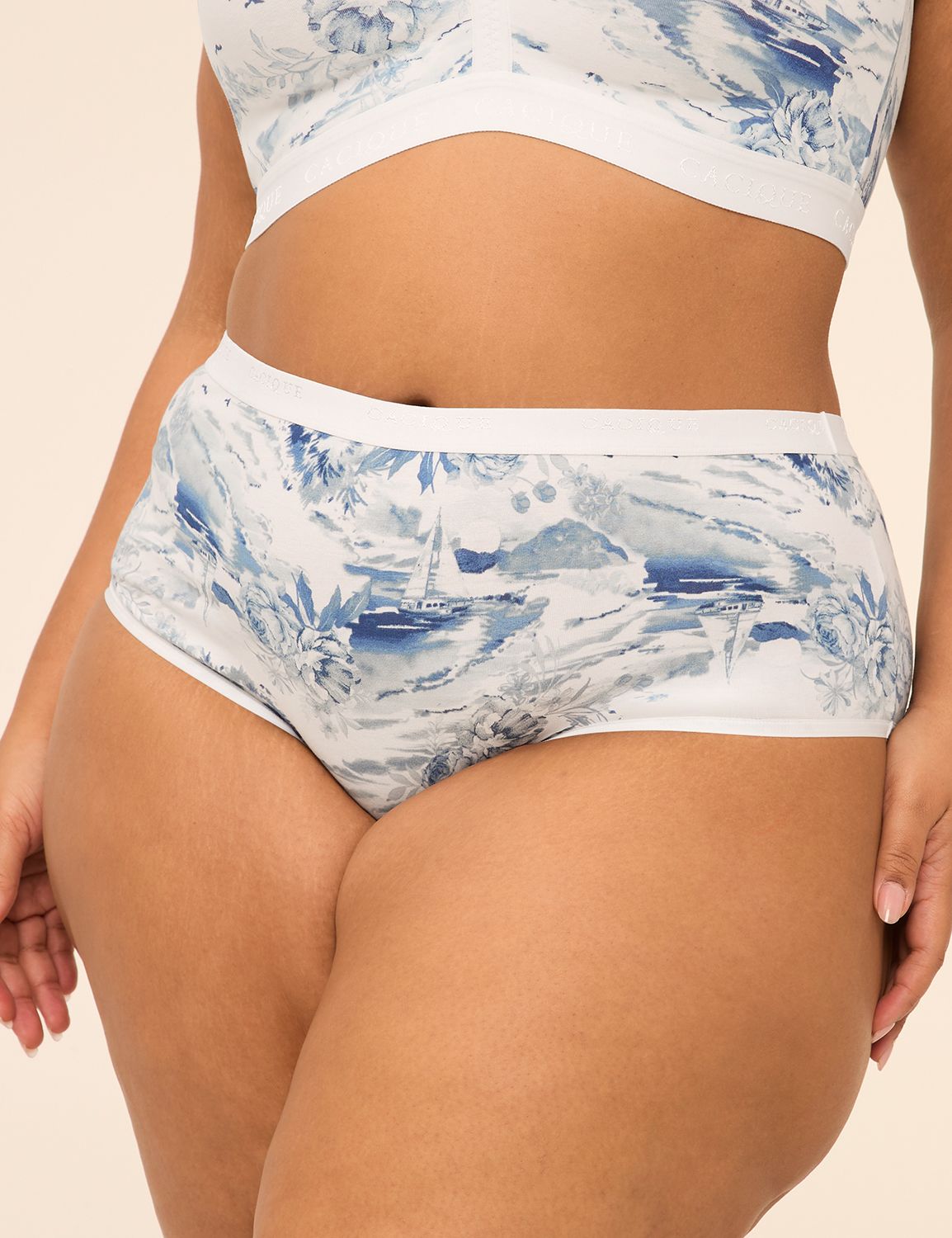 Cotton Cheeky Brief Panty