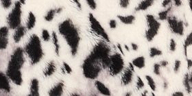 Animal Print Faux-Fur Short Jacket