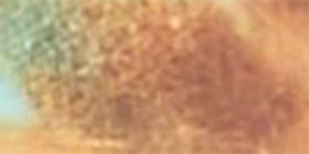 Tortoiseshell Square Reader Glasses