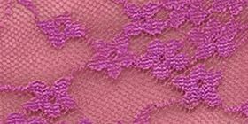 Allover Lace Cheeky Panty