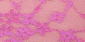Allover Lace High-Leg Brief Panty