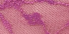 Allover Lace Hipster Panty
