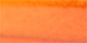 Fall Ombre Cateye Reader