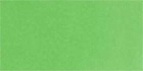 Green Goldtone-Detail Cateye Sunglasses