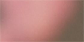Pink Cateye Sunglasses