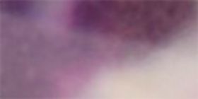 Purple Tortoiseshell Cateye Sunglasses