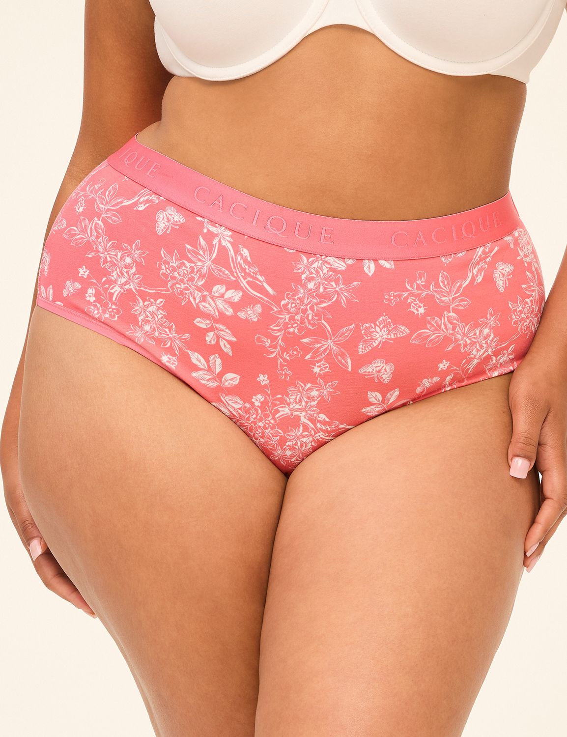 Cotton Cheeky Brief Panty With Wide Waistband