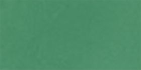 Green Goldtone-Detail Square Sunglasses