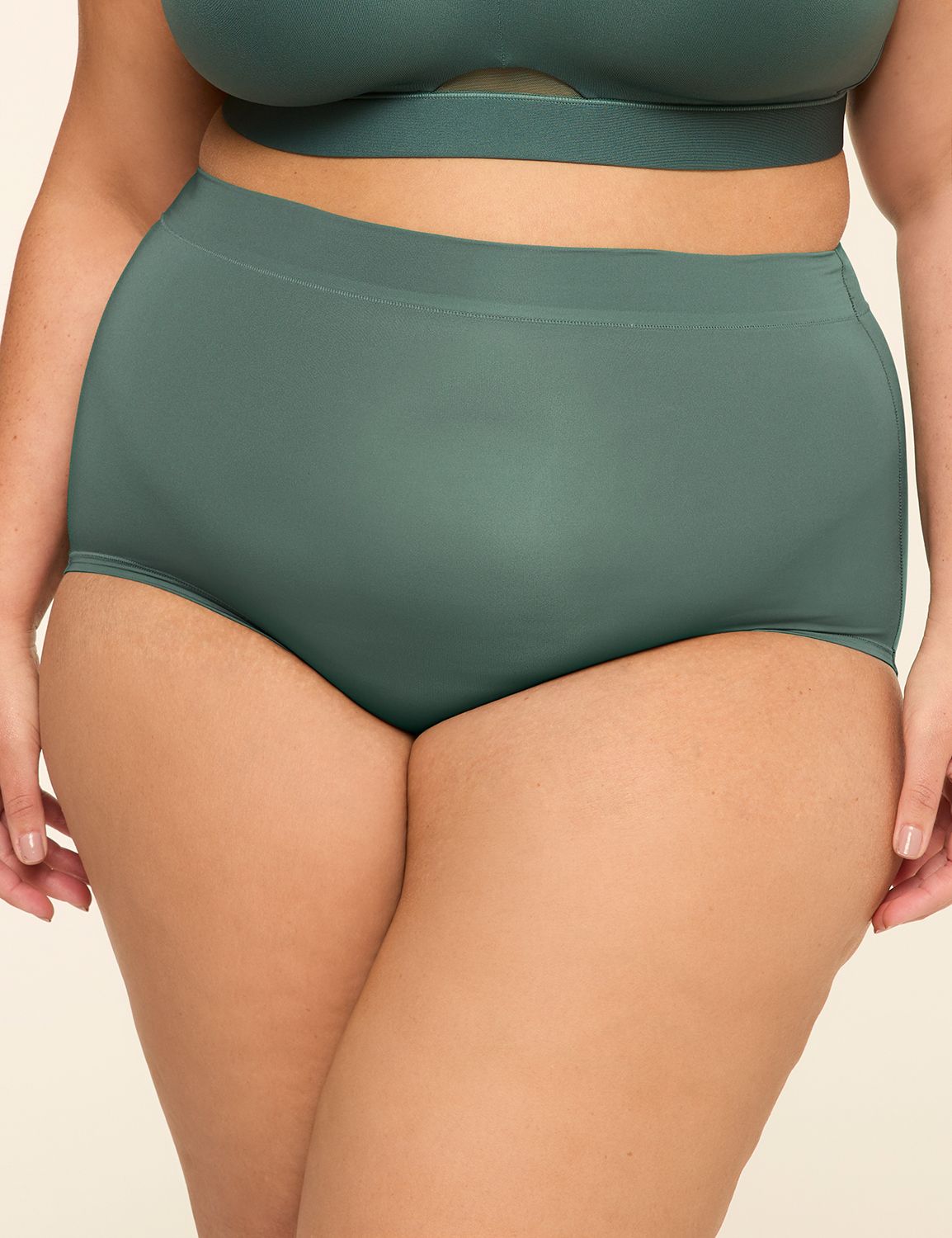 Comfort Bliss High Waist Brief Pant Product Image 1