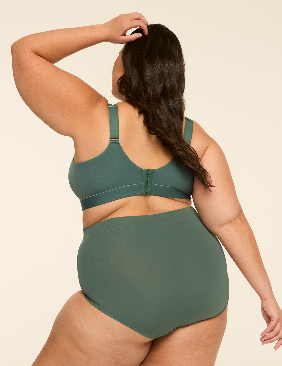 Comfort Bliss High Waist Brief Pant Product Image 2