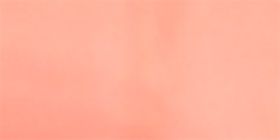 Orange Square Sunglasses