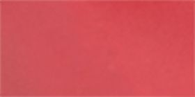 Red Rhinestone Sunglasses