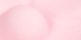 Pink Floral Claw Clip 2-Pack